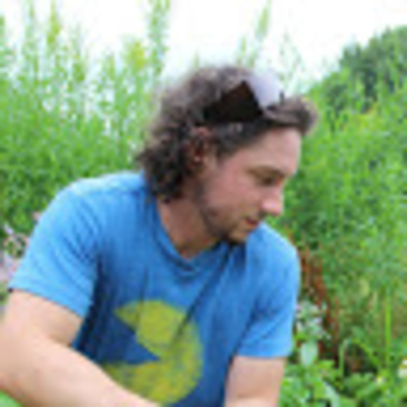 Meet your Posher, Nicholas - Picture 1 of 1